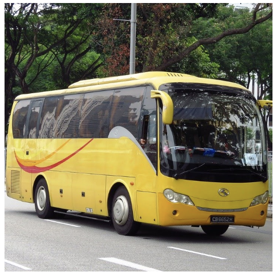 Image of a coach